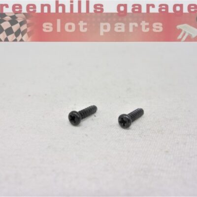 Greenhills Scalextric VW Beetle New Style Screw Set (2) -Used- P8499**