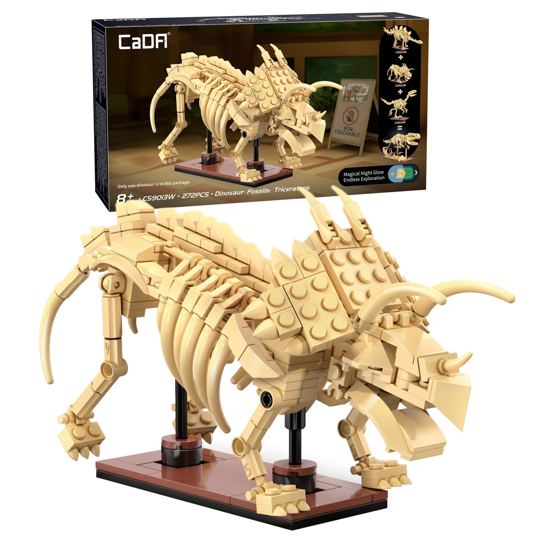 CaDA Dinosaur Fossils: Triceratops C59013W NEW GHC 18