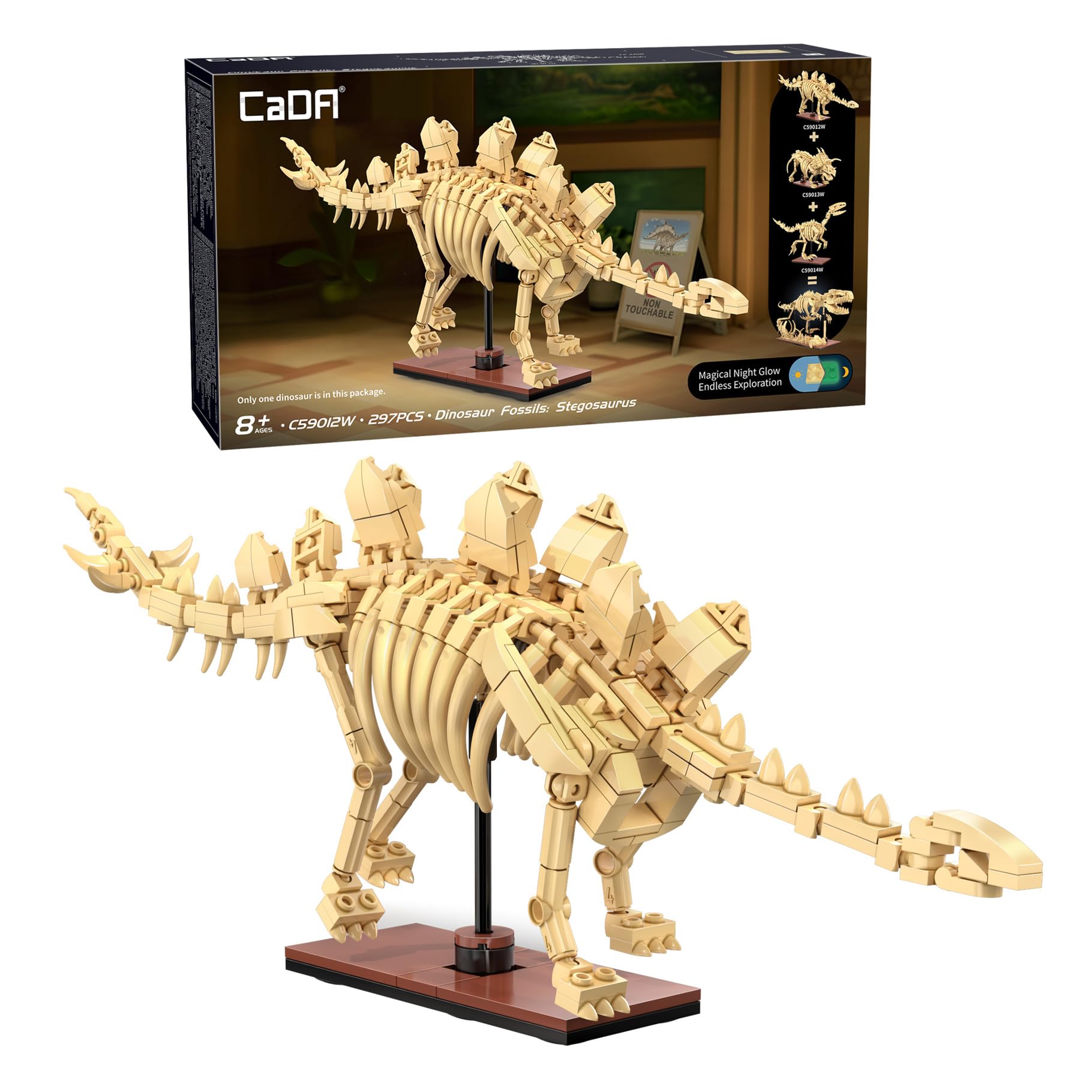 CaDA Dinosaur Fossil: Stegosaurus C59012W NEW GHC22